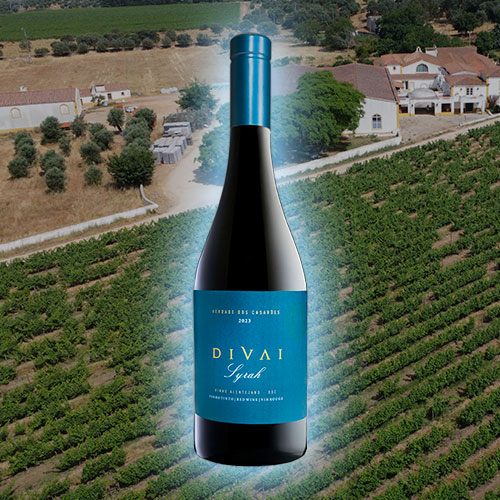 Divai-Syrah-novidades